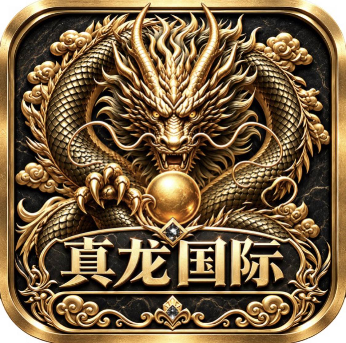 真龙国际
